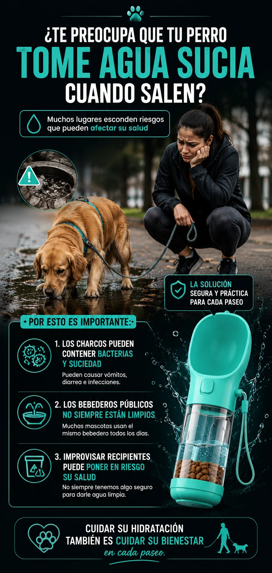 Riesgos de que tu perro tome agua sucia durante los paseos